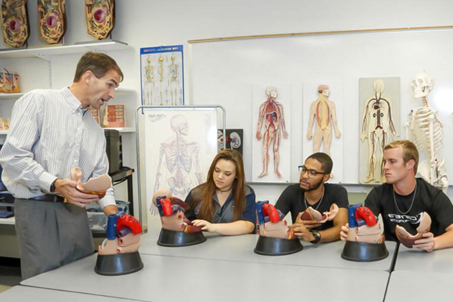 Students from the exercise science concentration in pre-physical therapy participate in a lecture.